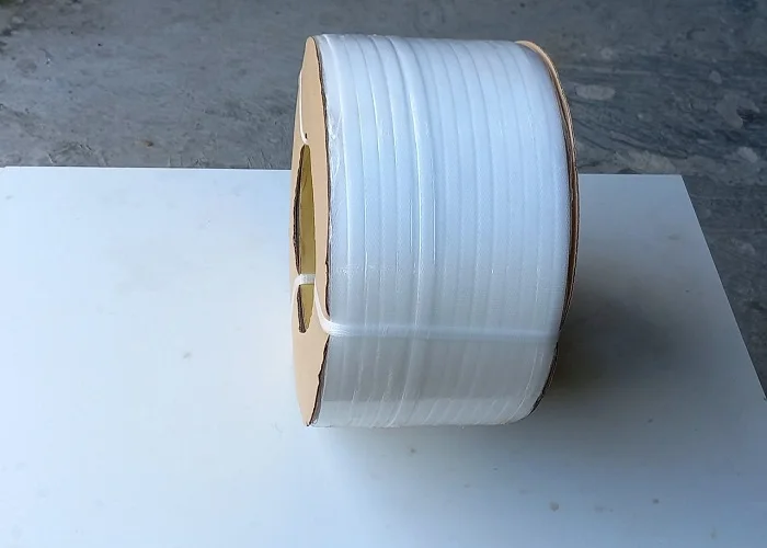 3 loại dây đai nhựa được sử dụng nhiều nhất hiện nay 13 dây đai nhựa pp trắng trong