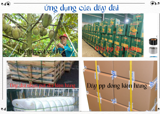 Công ty phân phối dây đai nhựa tại Tây Nguyên giá tốt nhất 2025 27 Ứng Dụng Của Dây đai nhựa tại tây nguyên