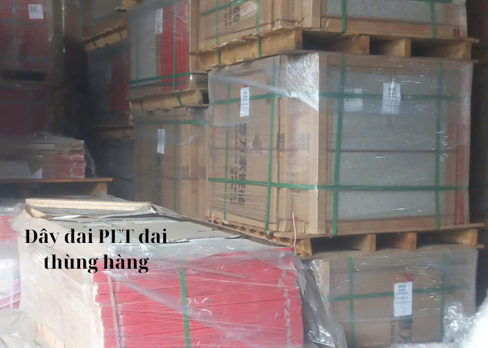 Giá Trị Của dây đai nhựa PET Hồ Chí Minh Với Ngành Đóng Gói Hàng Hóa 3 DÂy Đai Pet đai Thùng